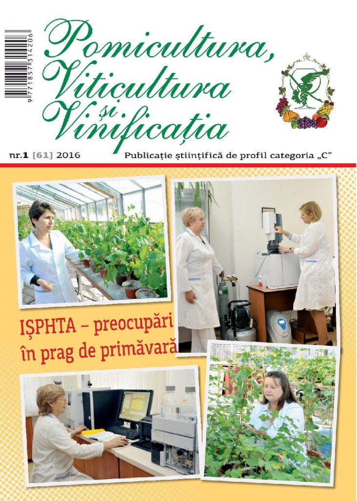 Revista PVV nr3 2013