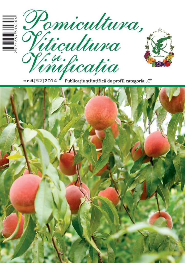 Revista PVV nr3 2013
